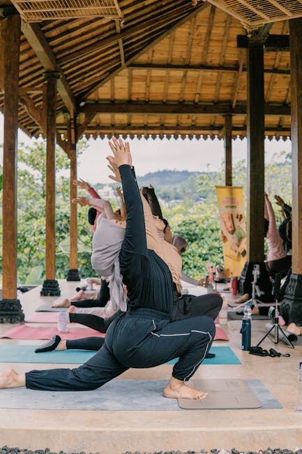 Organizarea resurselor